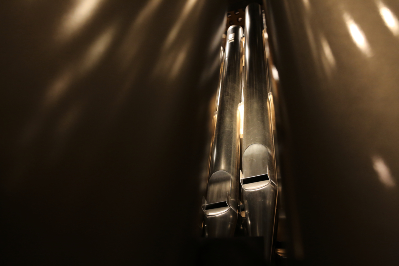 Elbphilharmonie Großer Saal Orgel